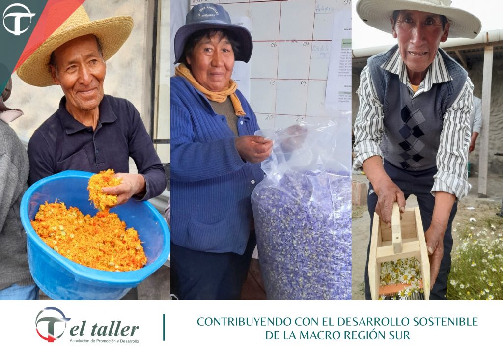 𝗘𝗟 𝗧𝗔𝗟𝗟𝗘𝗥 𝗣𝗔𝗥𝗧𝗜𝗖𝗜𝗣𝗔 𝗘𝗡 𝗝𝗢𝗥𝗡𝗔𝗗𝗔 𝗗𝗘 𝗧𝗥𝗔𝗕𝗔𝗝𝗢 𝗖𝗢𝗡 𝗢𝗡𝗚𝗦 𝗕𝗘𝗟𝗚𝗔𝗦 𝗬 𝗦𝗢𝗖𝗜𝗢𝗦 𝗟𝗢𝗖𝗔𝗟𝗘𝗦 – Copy – Copy