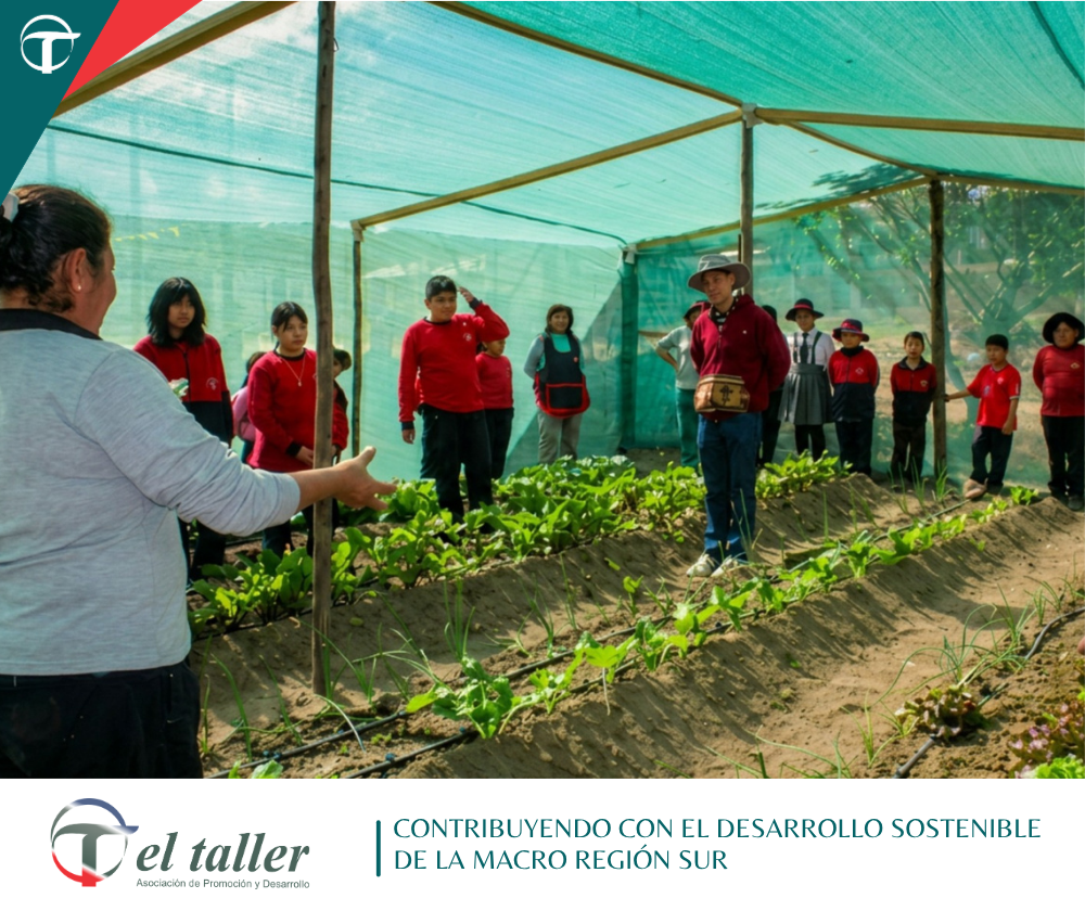 DE LA ESCUELA AL HUERTO: UNIDOS POR LA ALIMENTACIÓN SALUDABLE