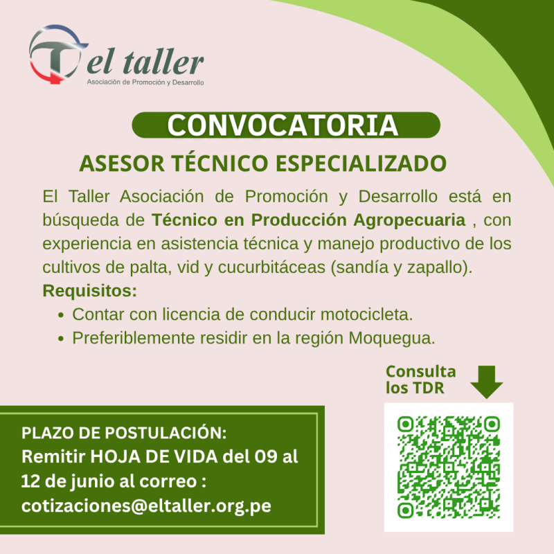 Convocatoria TDR (1)