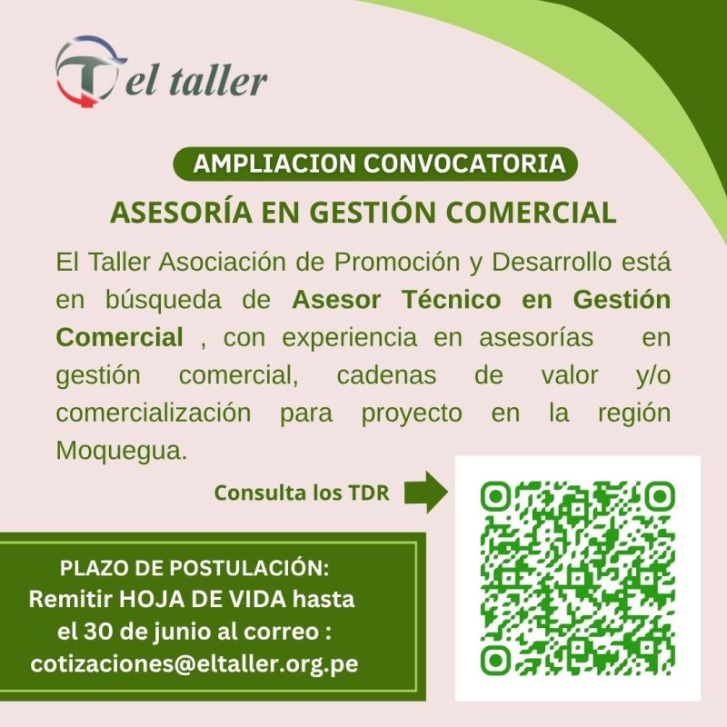 Convocatoria TDR (1)