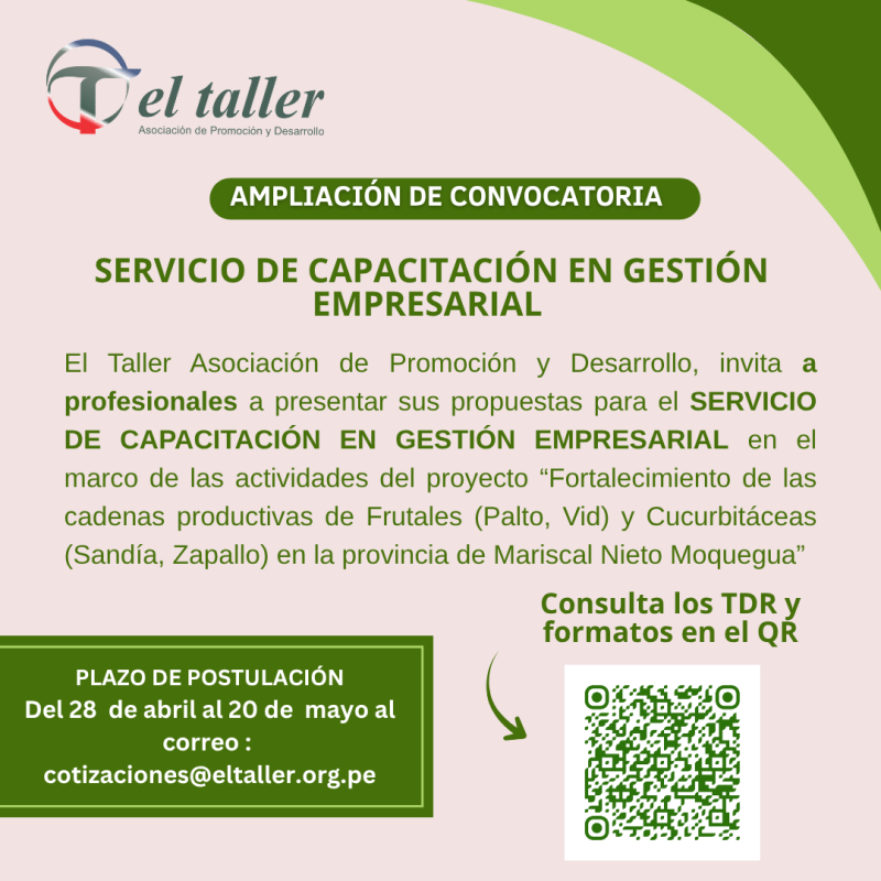 Convocatoria TDR (2)