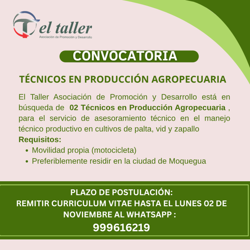 Convocatoria TDR (3)